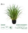 GloboStar® Artificial Garden ACORUS GRAMINEUS 20103 Τεχνητό Διακοσμητικό Φυτό Άκορος Υ90cm